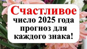 Счастливые числа зодиака: что говорят звёзды о вашем будущем в 2025 году?