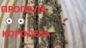 Пропала матка!!!!!!
