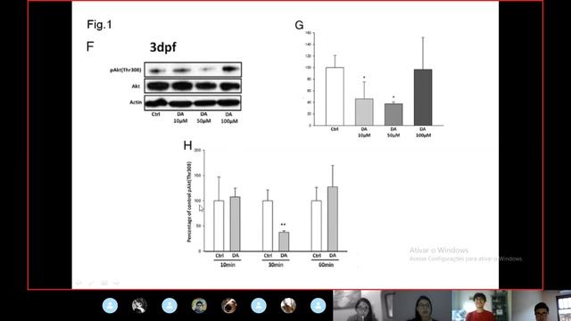Seminário 3 - Grupo de Pesquisa Estresse Oxidativo e Sinalização Celular - UNIPAMPA São Gabriel.