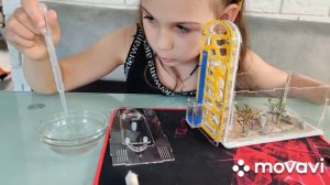 Муравьиная ферма вертикальный формикарий.Новые жнецы.