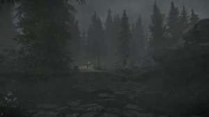 Skyrim Music & Ambience _ Walking Across Skyrim - Falkreath To Hunter's Rest _ Ambient Music