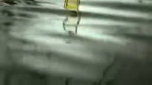 HERMÈS  Le Jardin de Monsieur Li