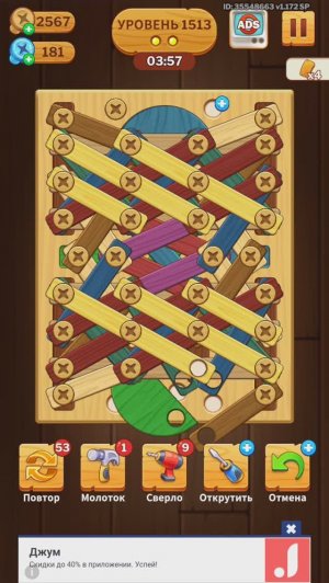 1513 level_screw puzzle (falcon)recording_20241009_205427