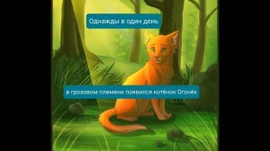 история песчаной бури коты-воители