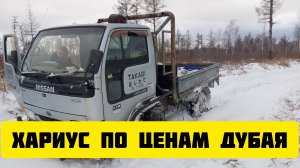 Экстремальная поездка за рыбой