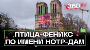 Кто продал душу дьяволу, для чего гаргулья и куда смотрит Фома? Интересная история собора Нотр-Дам