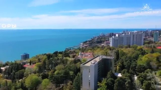 ЖК Резиденция Сосновый Бор Сочи смотреть онлайн