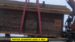 Установка готовой бани с камышевой кровлей в лесу