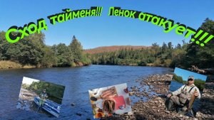 Река ХОР, ТАЙМЕНИ разгибают крючки, ЛЕНКИ атакуют, РЫБАЛКА на горных реках Хабаровского края!!!