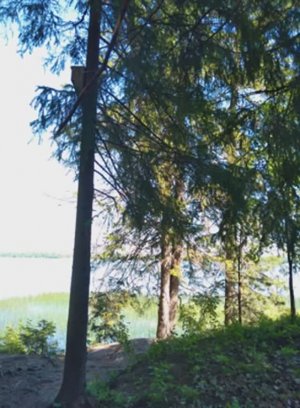 №56 Расширение и укрепление потоков создающих приподнятое и радостное состояние