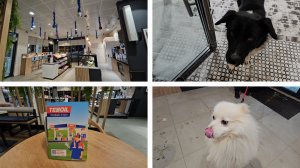 06.12.2024 г День со мной/ Работаю сутки/ Болталка/ Наша погода/ Какая есть, другой не стану