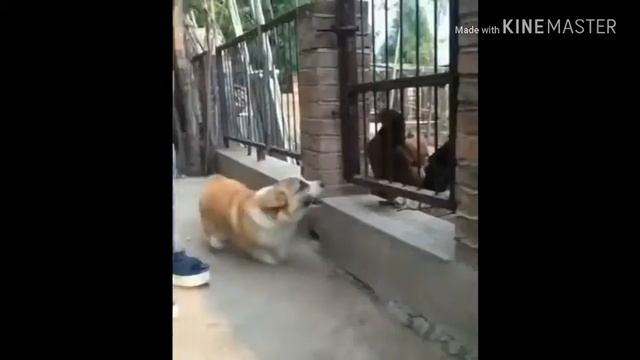 6 минут смеха|тест на психику смотреть онлайн