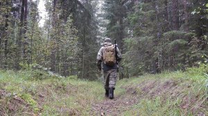 Охота на рябчика по классике | Тихая охота  | Сезон 2021