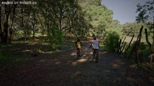 Наступило утро