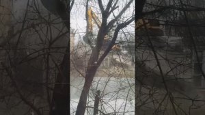 Наконец-то дождалась!Прощай сосед!