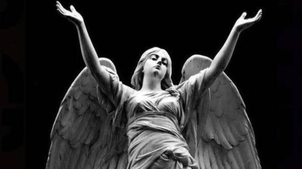 daemonium pugnatores