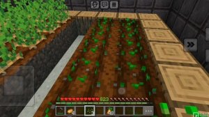 Я в доме читера и его сам построил в майнкрафте