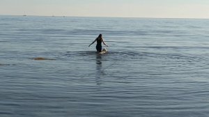 Собака и Море в декабре