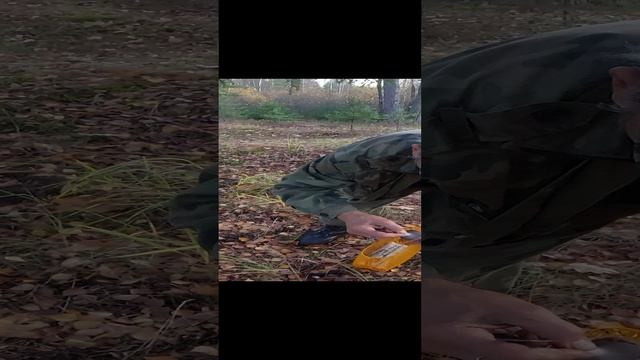 Мокрухи и маслята собираем в лесу Березки, Козьи Горы.