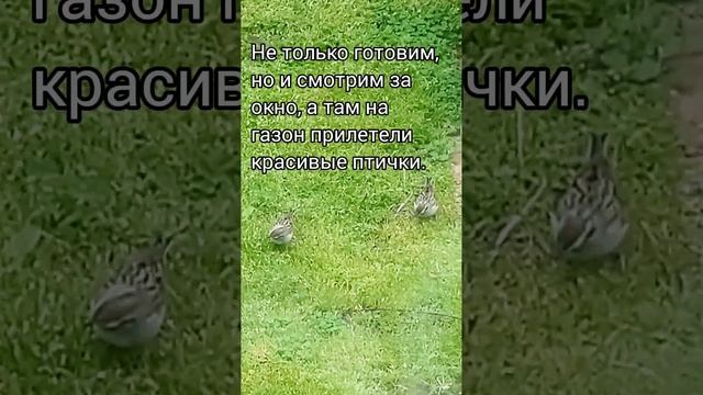 что едят вегетарианцы  - рис в томате с зеленью.