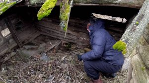 Нашел Мумию в заброшенной избе и Наломал Вешенок заморженных в лесу после копа