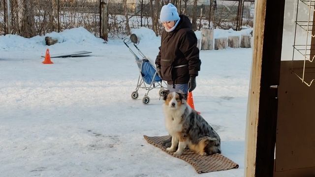 Сдача Экзамена УГС смотреть онлайн