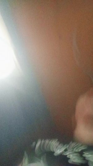 добрик алиса сер димон