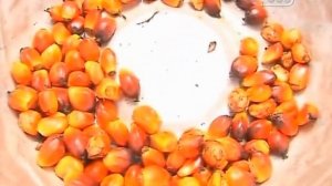 Далеко и еще дальше: Африка