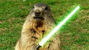 Вечерняя Dota с Бобром