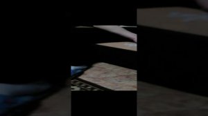 VID_20241207_180649.mp4