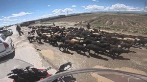 "Афганский Круг - 2024", 5 серия. "От Кабула до Кандагара"