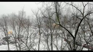 Вид из окна