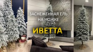 Заснеженная ель на ножке "Иветта"