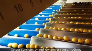 Newtec Optical Sorting Machine, Model Celox- P-UHD, - Size: 20-28 mm. square mask