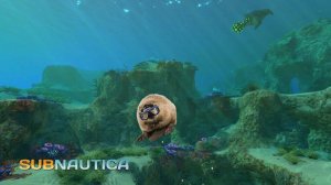 Subnautica | Сабнаутика | Выживание с самого начала | Крушение Авроры