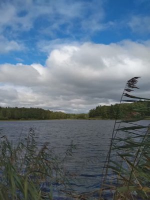 №50 Вхождение в состояние блаженства