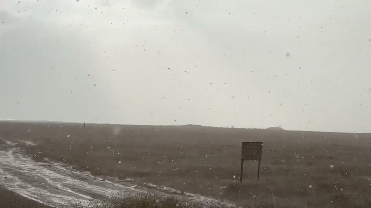 Мы попали в ливень. Лошадь скинула наездницу и вот что было дальше