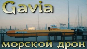 Gavia - подводный беспилотник