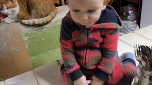 Чем кормят в ЯсноГРАДЕ?