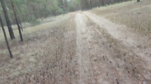 2024 год Июль. 15