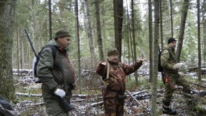 Охота на зайца с гончими. Эхо Великой Войны.