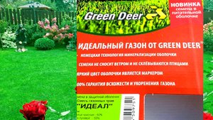 Результат посадки семян газона в питательной оболочке.