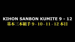Вадо-рю Кихон-санбон кумитэ 9 -10 - 11 - 12