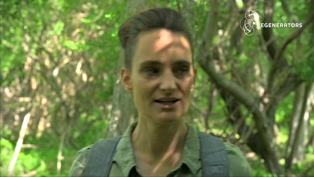 Holding Space for Emergence: Regenerative Leadership Reflections with Laura Storm смотреть онлайн