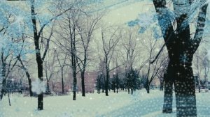 Карина Кокс. Снежинка