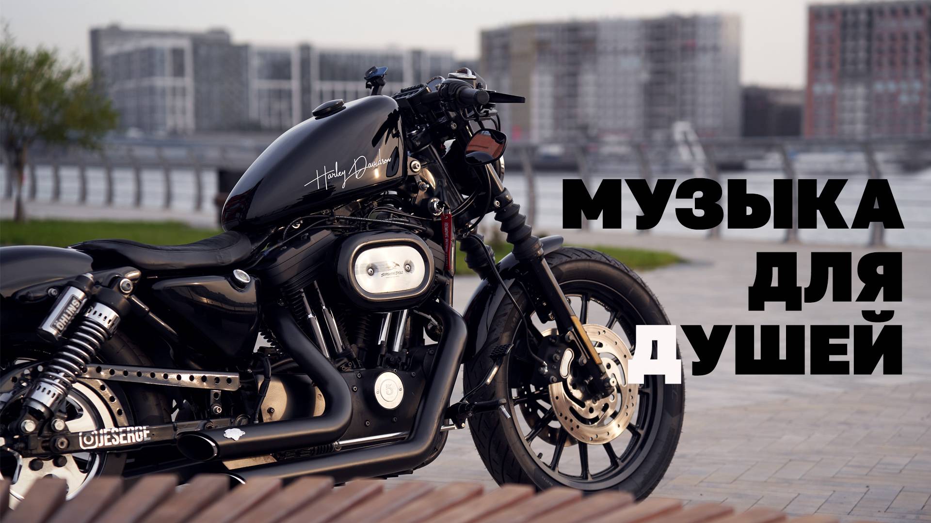 Сел, обалдел! HARLEY DAVIDSON SPORTSTER 1200 S.