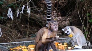 3765253-uhd_3840_2160_30fps