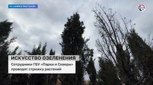 Сотрудники ГБУ «Парки и Скверы» провели стрижку растений (Дежурный по городу. 7 декабря 2024)