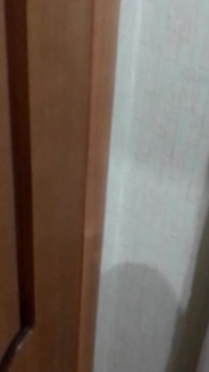 Домашний стрим 2