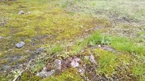 Николаев 8 декабря 2024 года (новости)